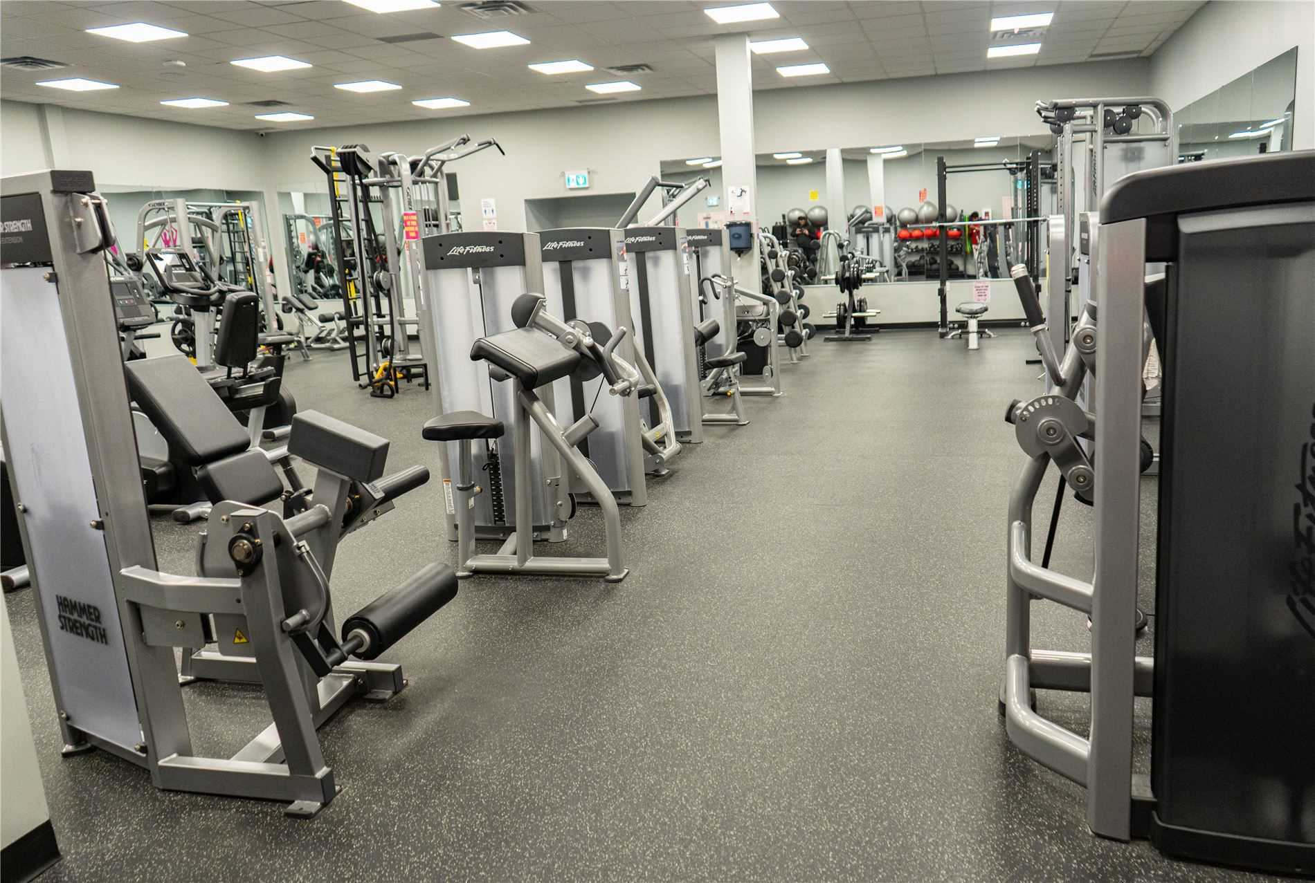 Gym equipment discount for sale brampton